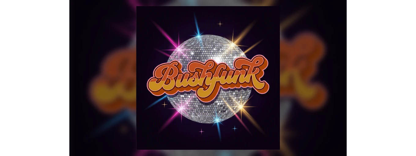 BUSHFUNK Bushfunk (Live: Nils Parkinson feat. DJ MoomaGroove)