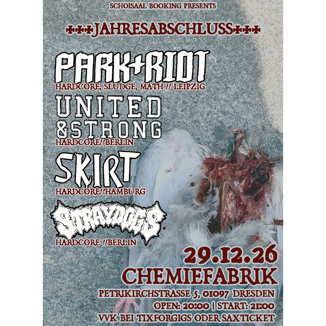 Jahresabschluss: Park+Riot,United and Strong,Stray Dogs,SKIRT
